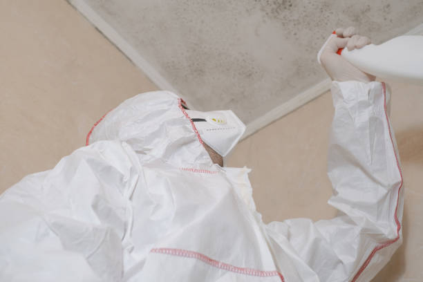 Best HVAC Mold Remediation in Zwolle, LA